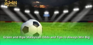 Malaysian Odds