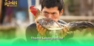 Thomo Sabong online