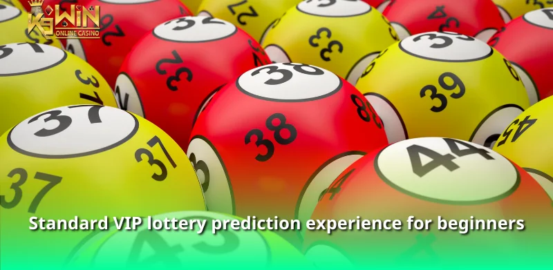 Standard VIP lottery prediction experience for beginners